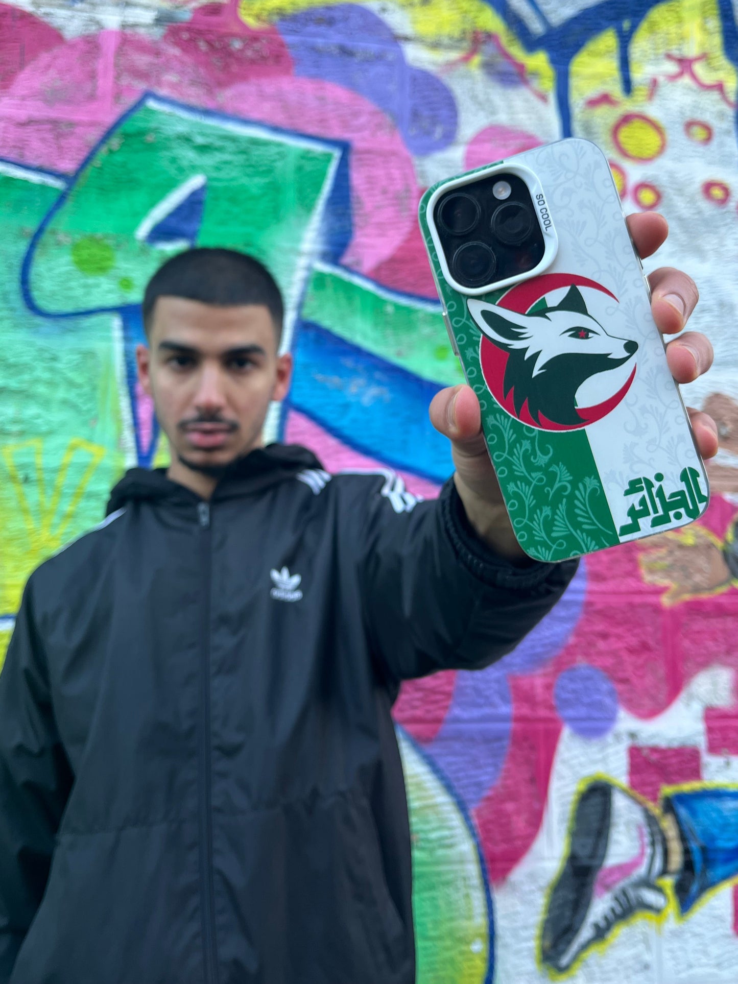 Coque Algérie